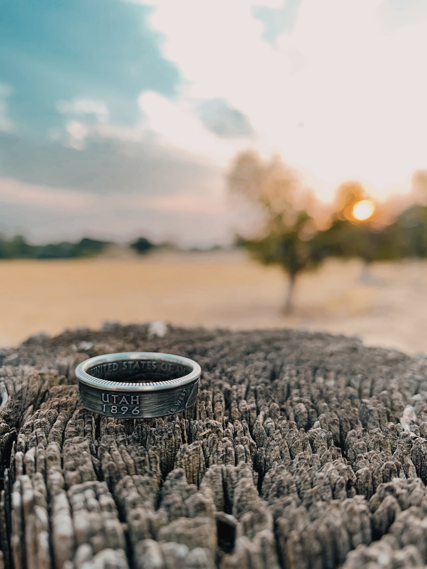 Silver State Quarter Coin Ring - Utah