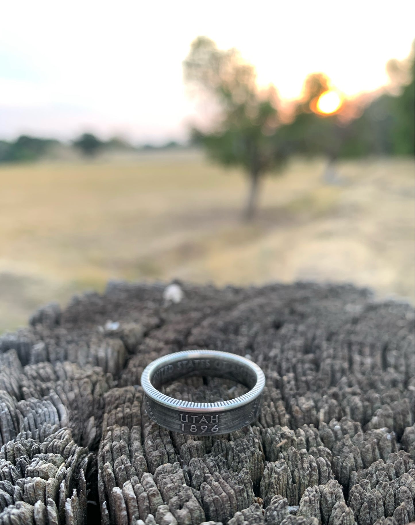 Silver State Quarter Coin Ring - Utah